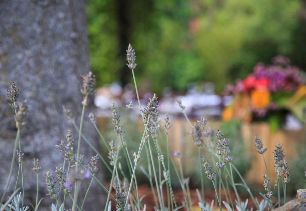 Podere La Miniera Relax & Food Siena Exterior foto